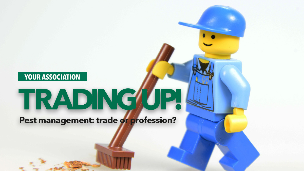 trading up trade or profession trading up trade or profession